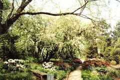 Frühling im Arboretum Ellerhoop