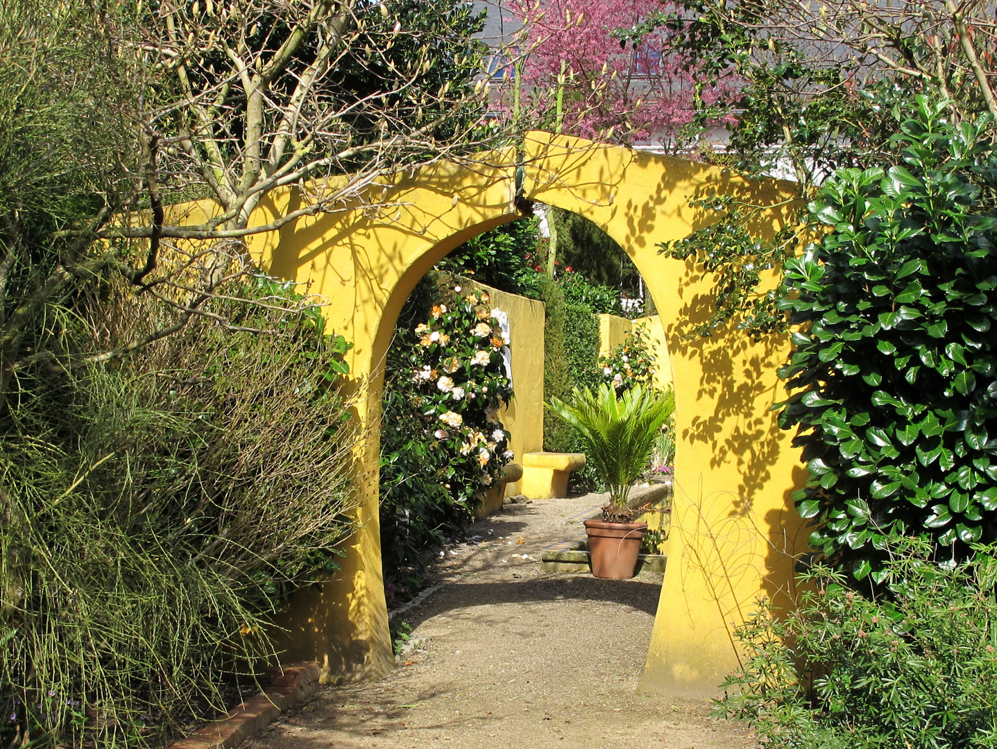 Frühling im Arboretum in Neuenkoop