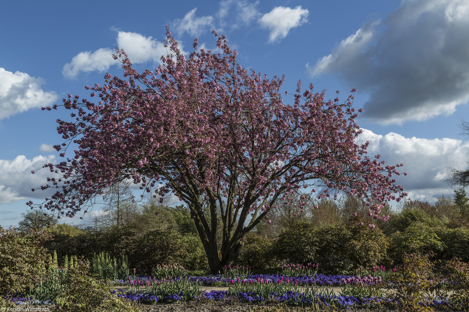 Frühling im Arboretum zu Pinneberg