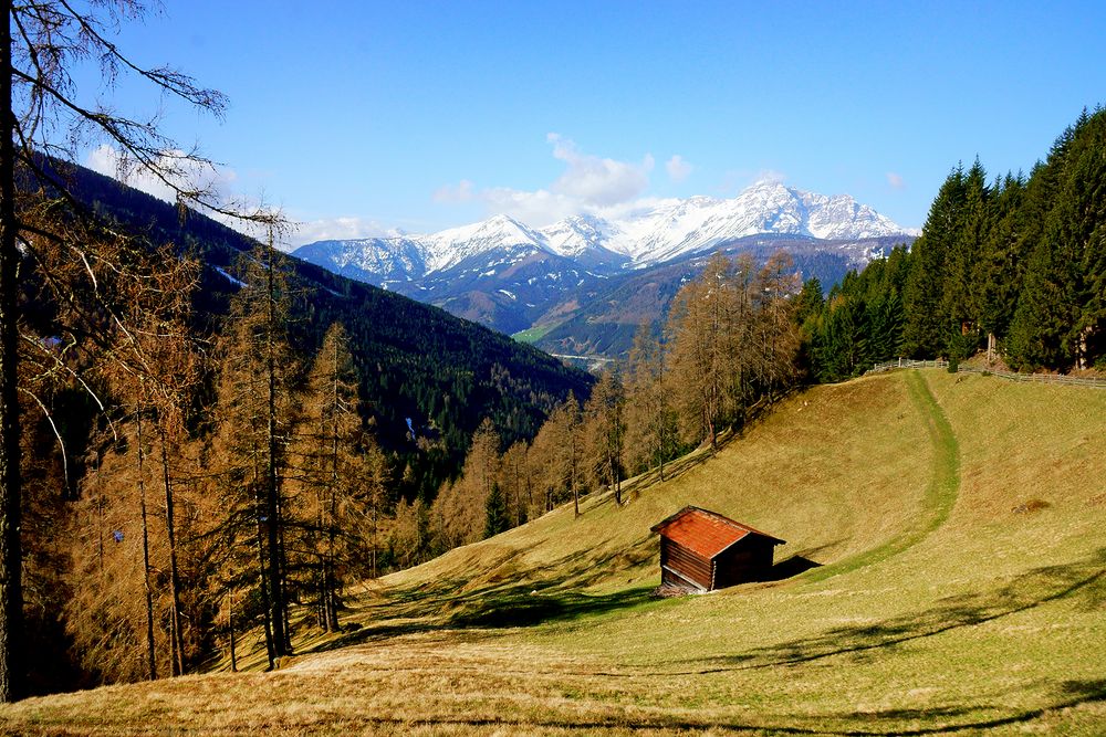 Frühling im Arztal mit Blick zu Serles und Blaser