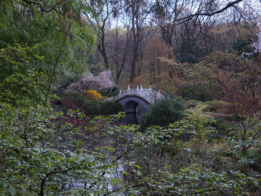 Frühling im asiatischen Garten