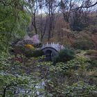 Frühling im asiatischen Garten