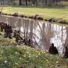 Frühling im Bad Muskauer Fürst Pückler Park