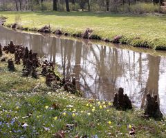 Frühling im Bad Muskauer Fürst Pückler Park