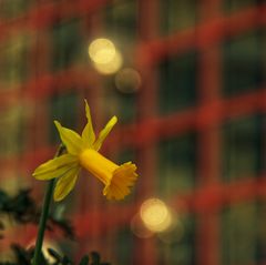 Frühling im Bankenviertel