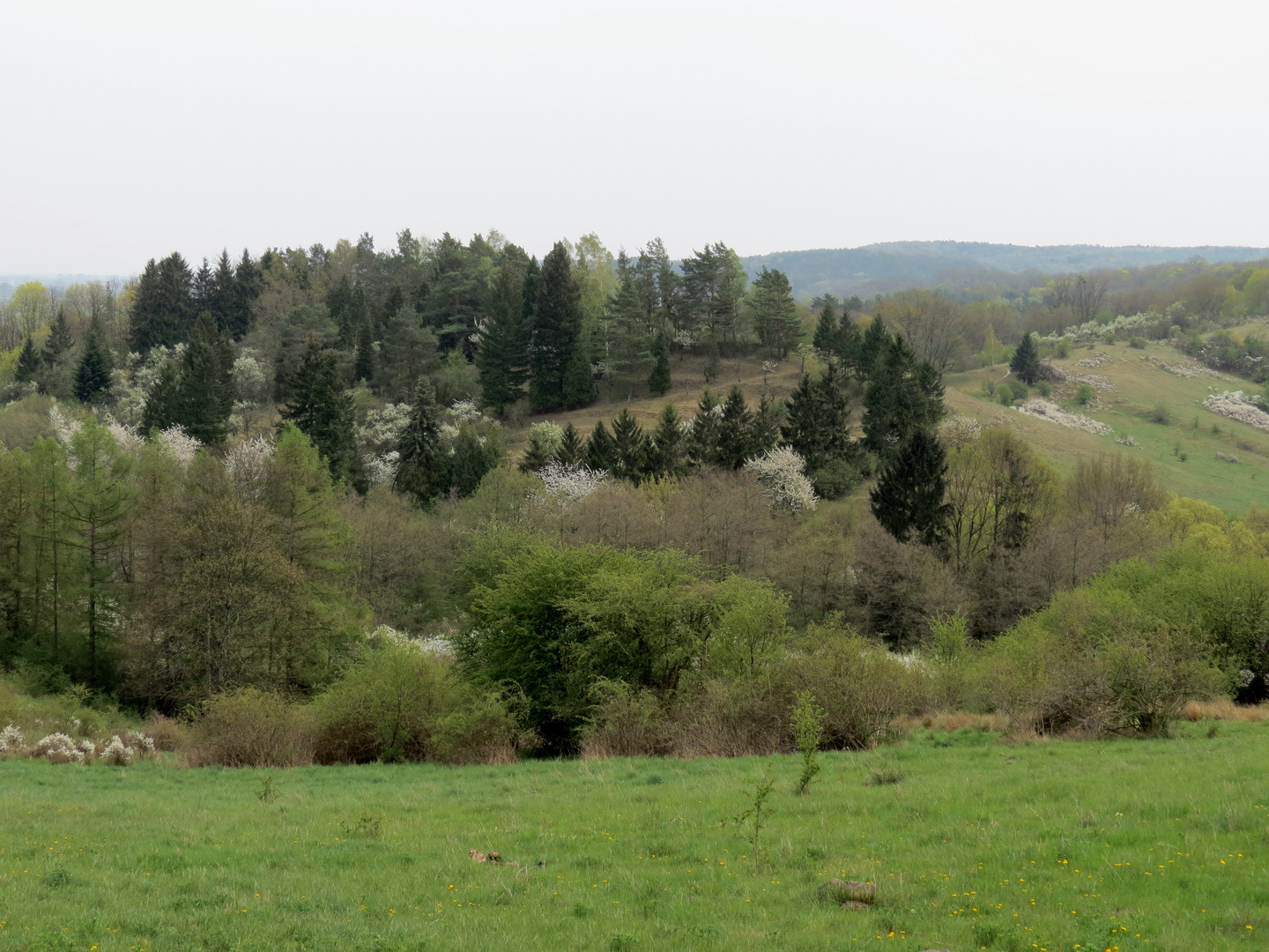 Frühling im Barnim