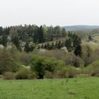 Frühling im Barnim