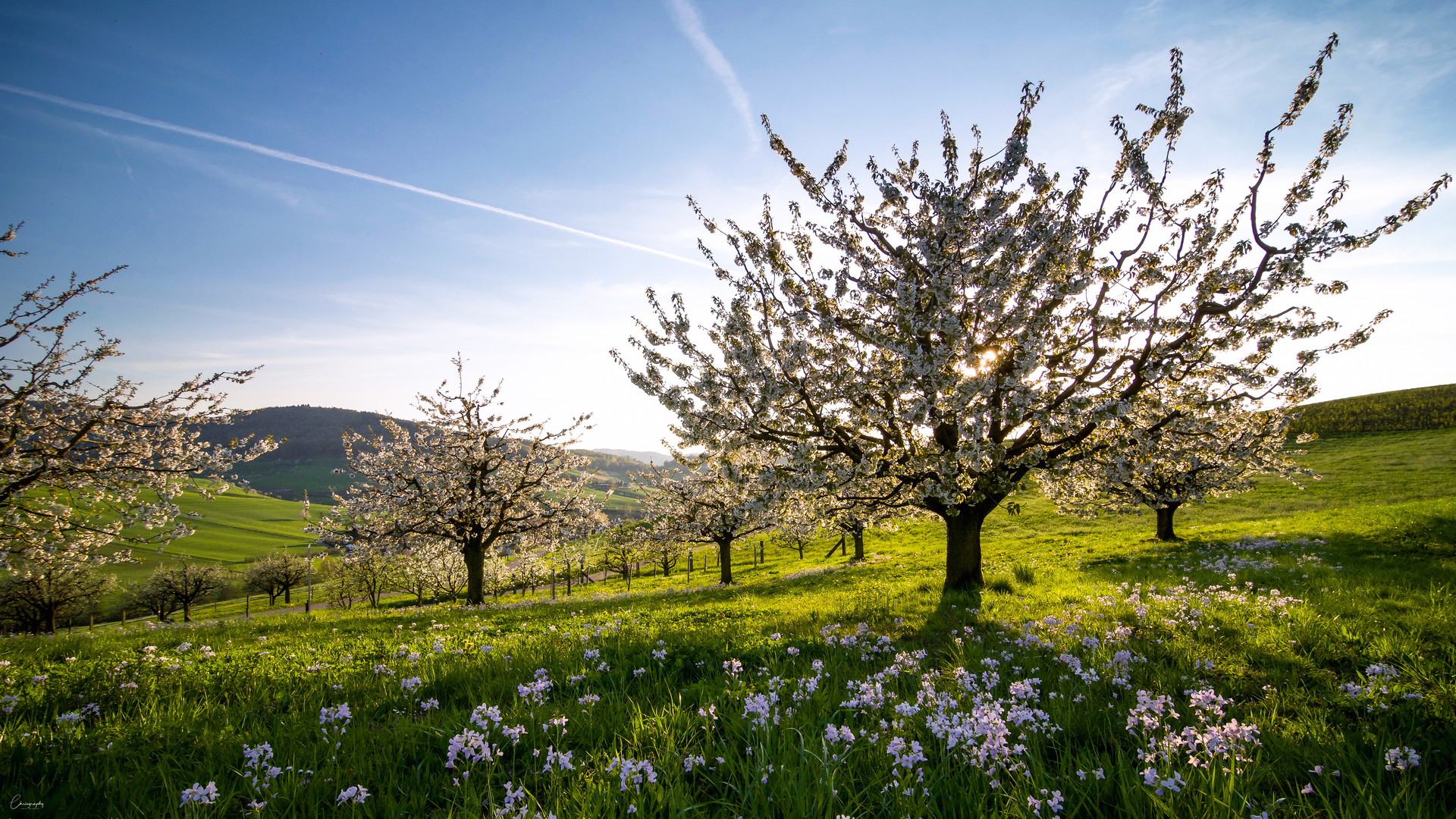 Frühling im Baselbiet