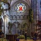 Frühling im Basler Münster