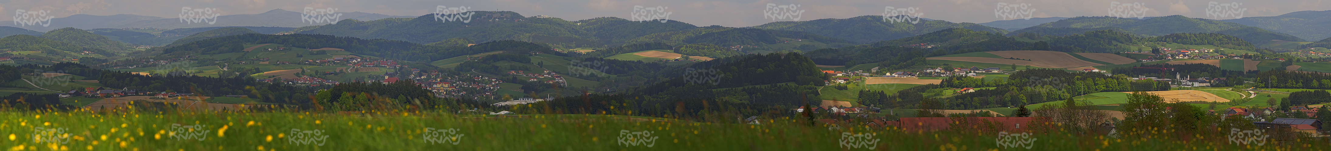 FRÜHLING im BAYERISCHEN WALD