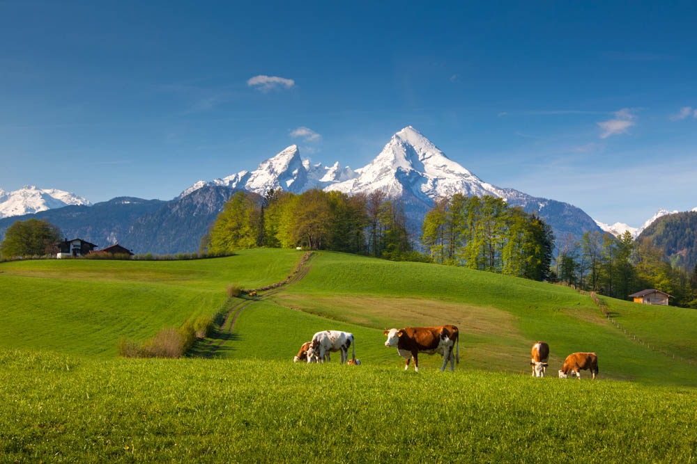 Frühling im Berchtesgadener Land