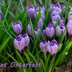 Frühling im Berggarten