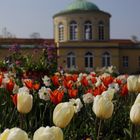 Frühling im Berggarten