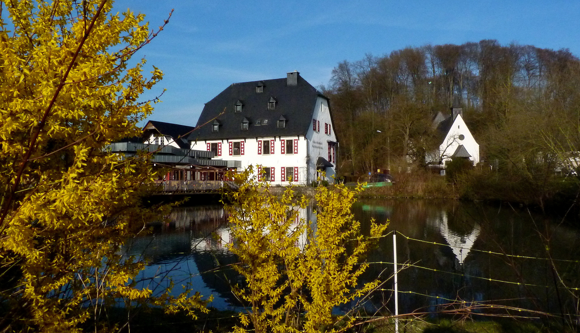 Frühling im Bergischen