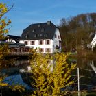 Frühling im Bergischen