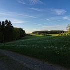 Frühling im Bergischen