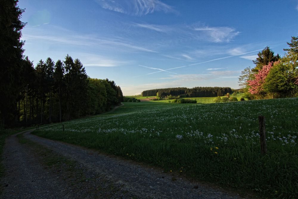 Frühling im Bergischen