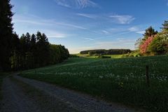 Frühling im Bergischen