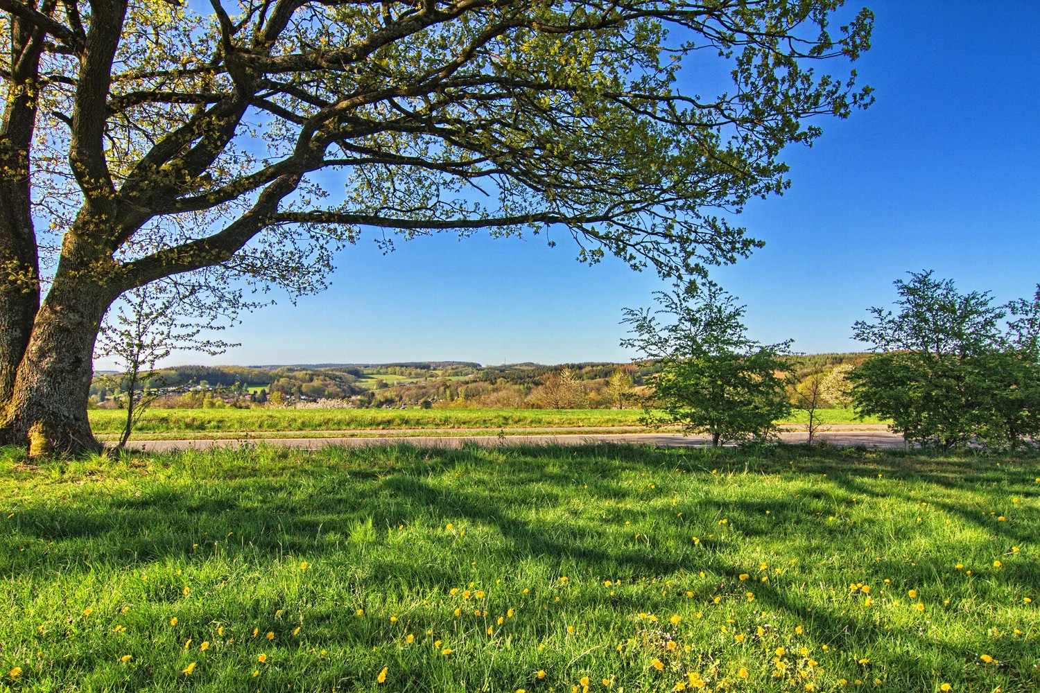 Frühling im Bergischen 