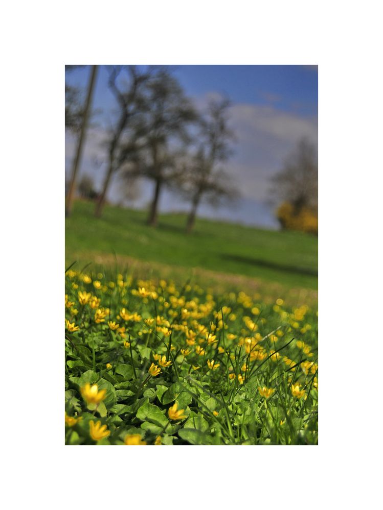 Frühling im Bergischen I