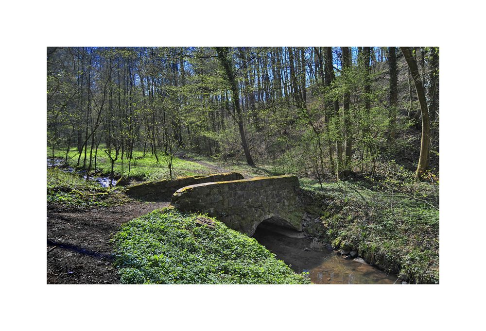 Frühling im Bergischen II