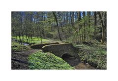 Frühling im Bergischen II