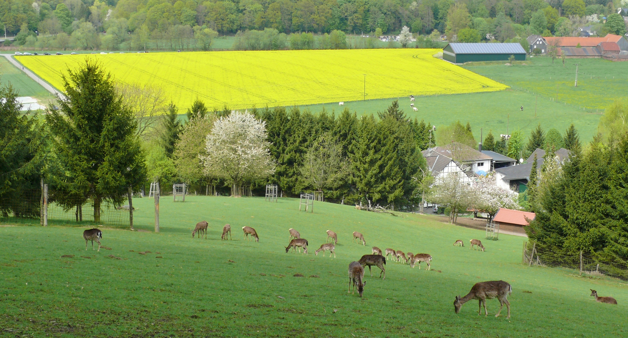 Frühling im Bergischen Land