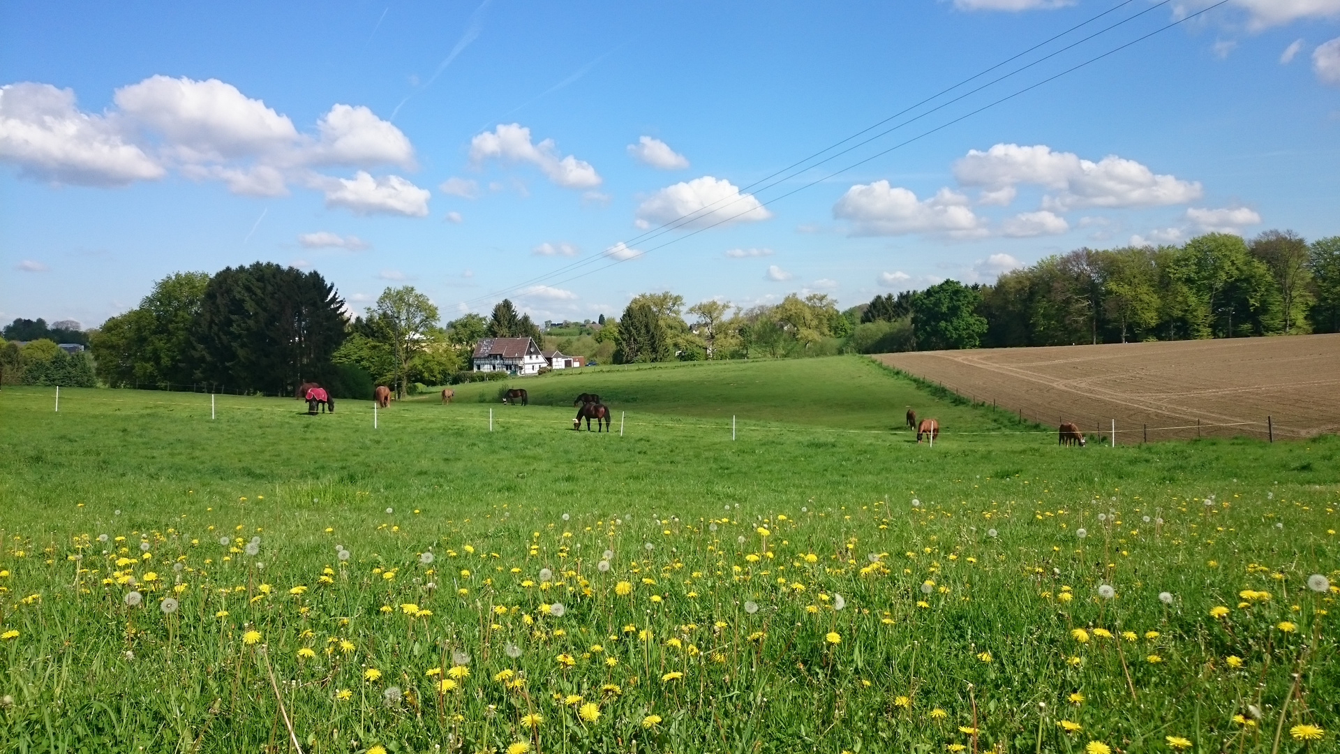 Frühling im Bergischen Land