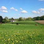 Frühling im Bergischen Land