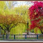 Frühling im Berliner Zoo