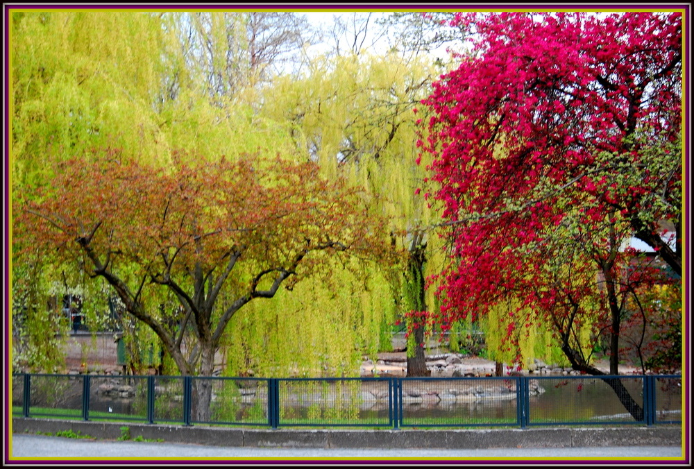 Frühling im Berliner Zoo