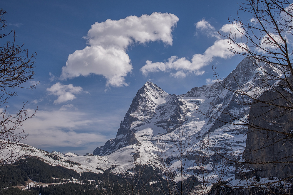 Frühling im Berner Oberland