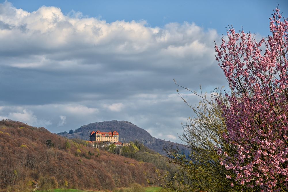 Frühling im Biebertal