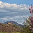 Frühling im Biebertal