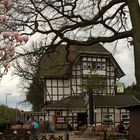 Frühling im Biergarten