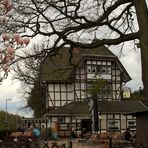 Frühling im Biergarten