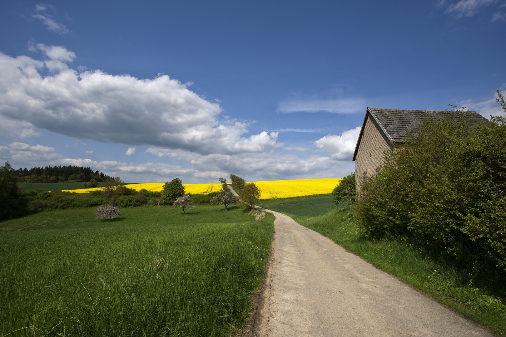 Frühling im "blauen Ländchen"