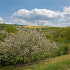 Frühling im "Blauen Ländchen" III