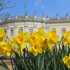 Frühling im Blühenden Barock