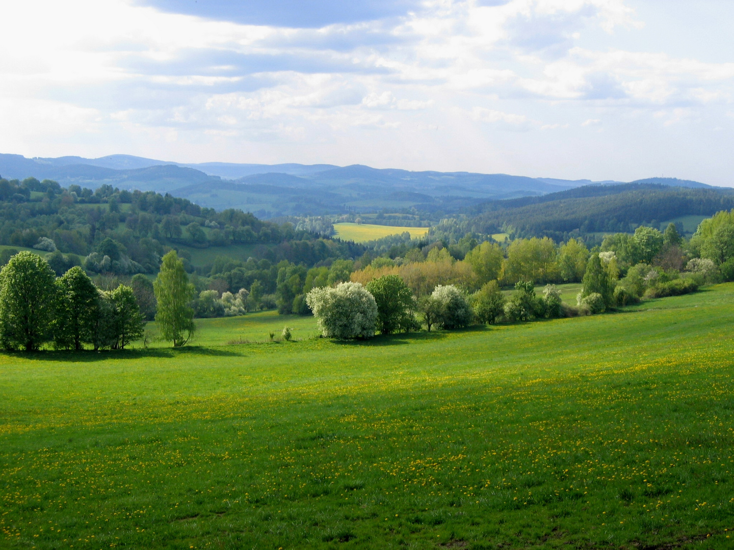 Frühling im Böhmerwald