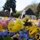 Frühling im Botanischen Garten