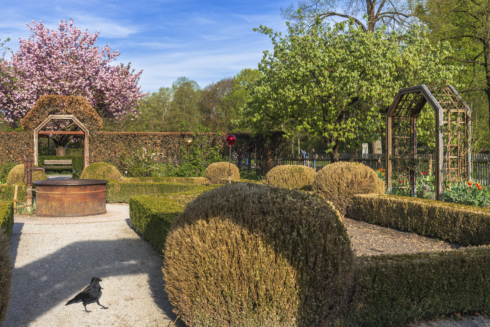 Frühling im Botanischen Garten Augsburg