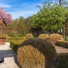 Frühling im Botanischen Garten Augsburg