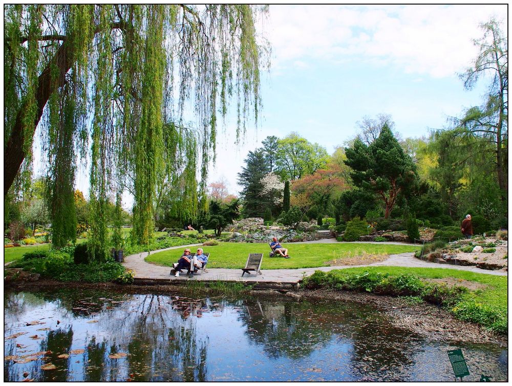 Frühling im Botanischen Garten