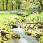 Frühling im Botanischen Garten Bochum