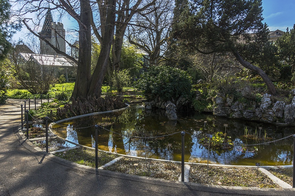 Frühling im Botanischen Garten