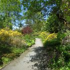 Frühling im Botanischen Garten