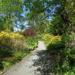 Frühling im Botanischen Garten