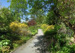 Frühling im Botanischen Garten