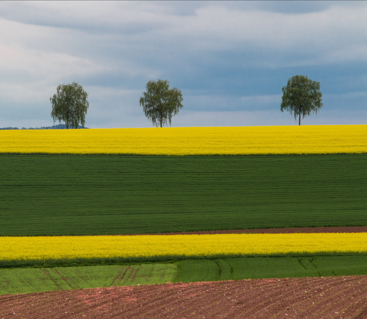 Frühling im Breisgau